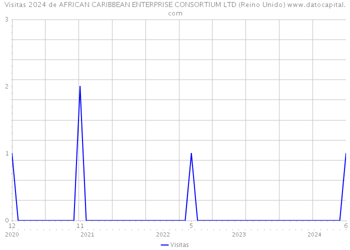 Visitas 2024 de AFRICAN CARIBBEAN ENTERPRISE CONSORTIUM LTD (Reino Unido) 