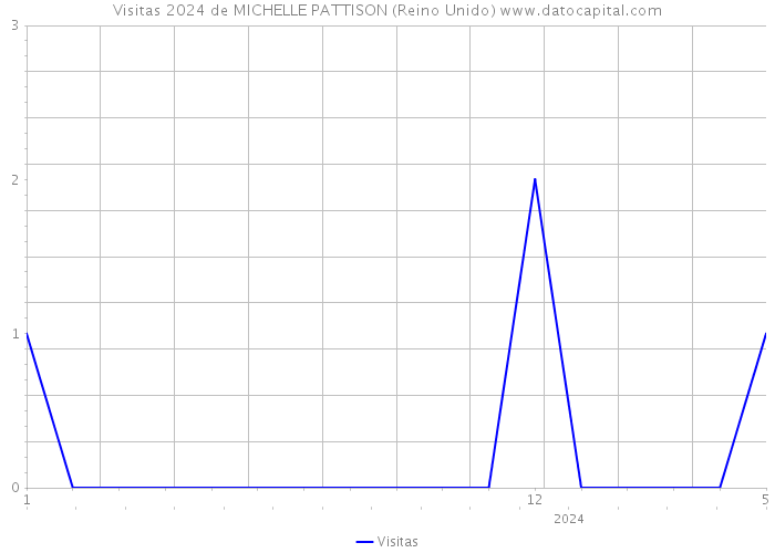 Visitas 2024 de MICHELLE PATTISON (Reino Unido) 