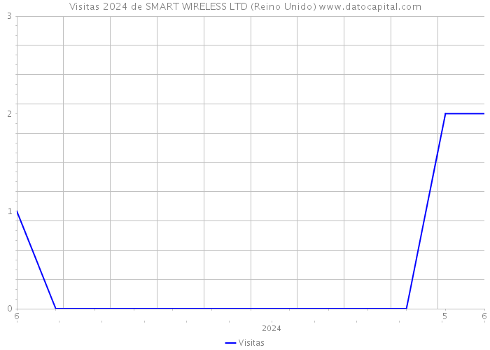 Visitas 2024 de SMART WIRELESS LTD (Reino Unido) 