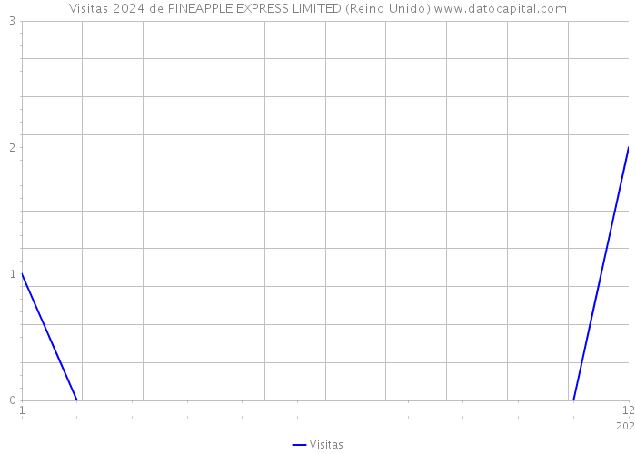 Visitas 2024 de PINEAPPLE EXPRESS LIMITED (Reino Unido) 
