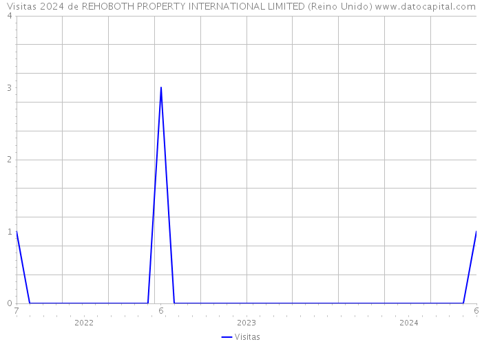 Visitas 2024 de REHOBOTH PROPERTY INTERNATIONAL LIMITED (Reino Unido) 