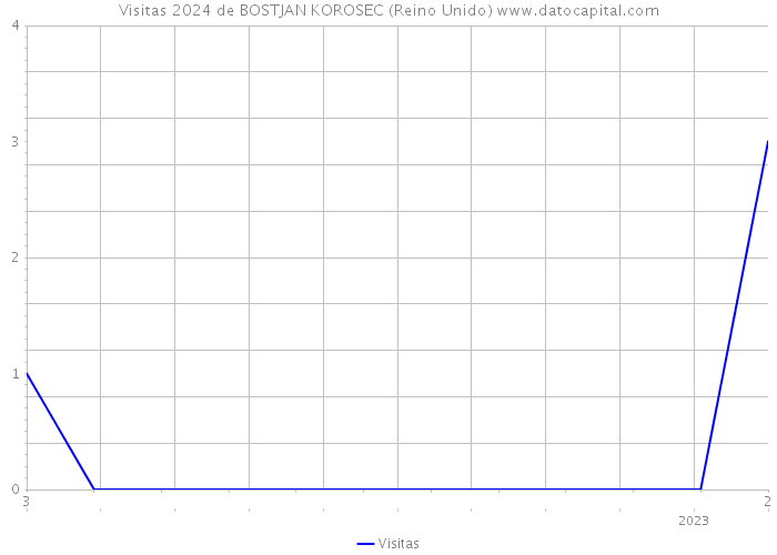 Visitas 2024 de BOSTJAN KOROSEC (Reino Unido) 