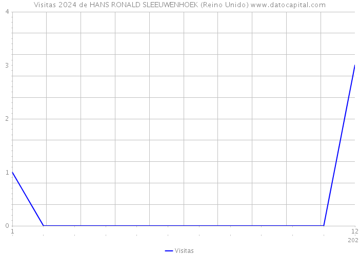 Visitas 2024 de HANS RONALD SLEEUWENHOEK (Reino Unido) 