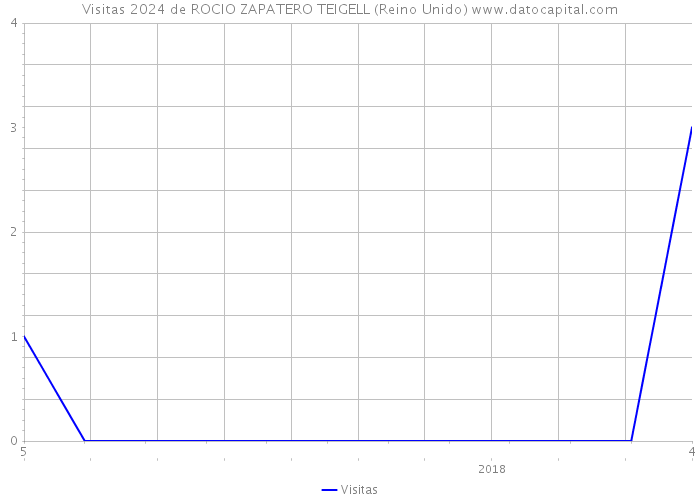 Visitas 2024 de ROCIO ZAPATERO TEIGELL (Reino Unido) 