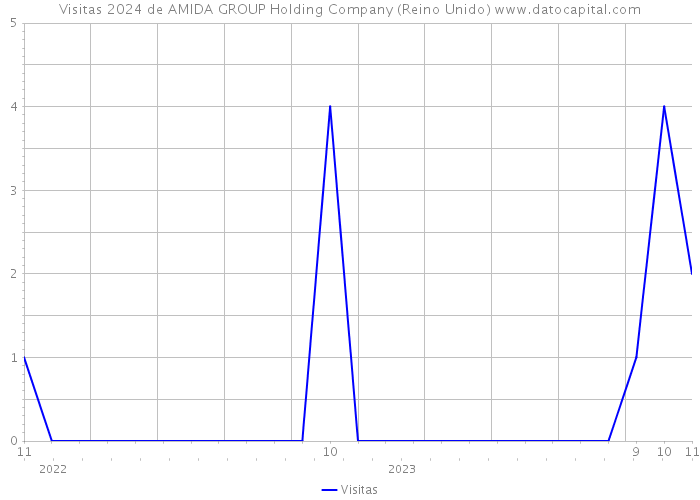 Visitas 2024 de AMIDA GROUP Holding Company (Reino Unido) 