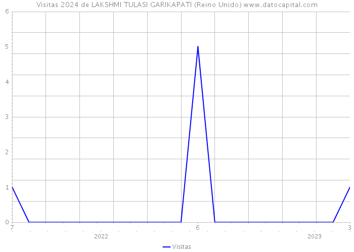 Visitas 2024 de LAKSHMI TULASI GARIKAPATI (Reino Unido) 