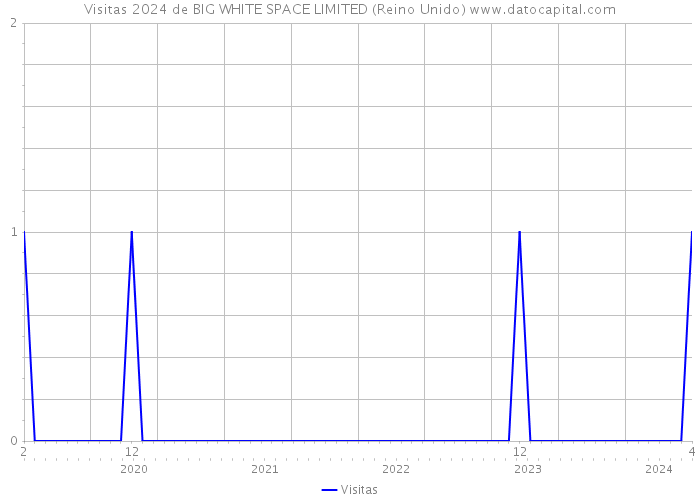 Visitas 2024 de BIG WHITE SPACE LIMITED (Reino Unido) 