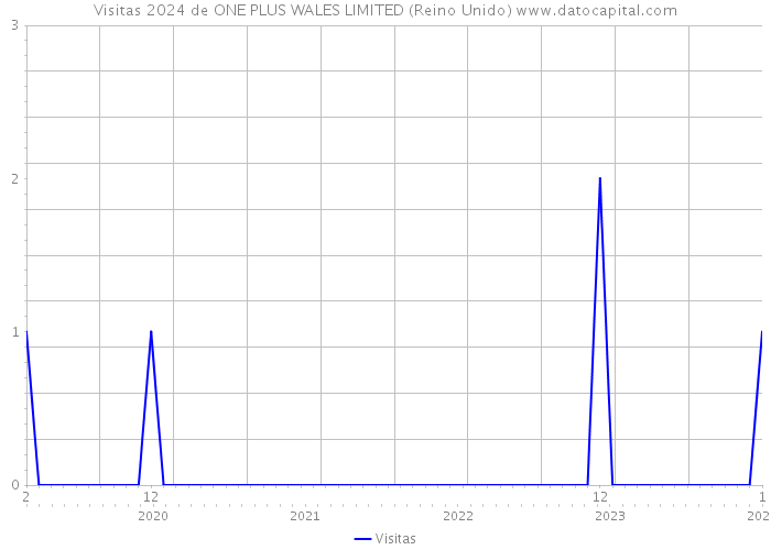 Visitas 2024 de ONE PLUS WALES LIMITED (Reino Unido) 
