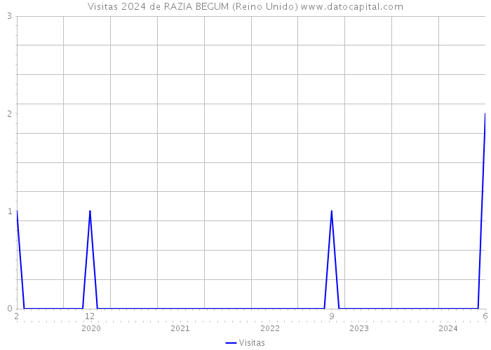 Visitas 2024 de RAZIA BEGUM (Reino Unido) 