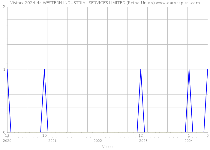 Visitas 2024 de WESTERN INDUSTRIAL SERVICES LIMITED (Reino Unido) 