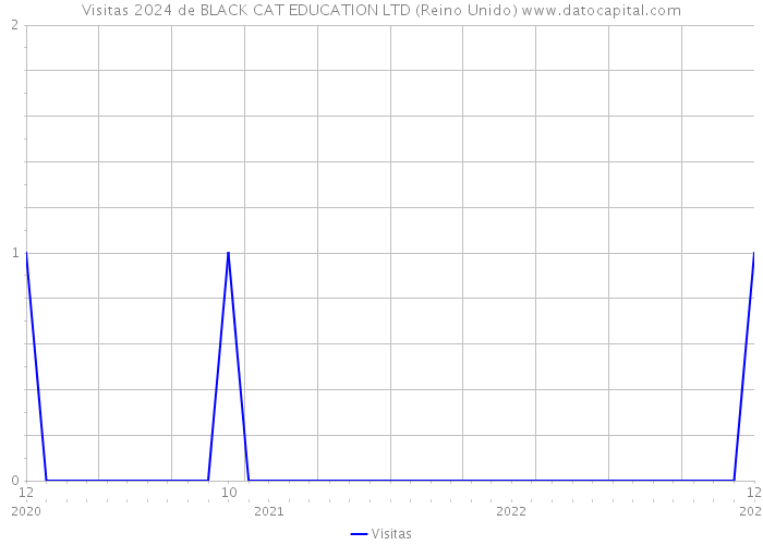 Visitas 2024 de BLACK CAT EDUCATION LTD (Reino Unido) 