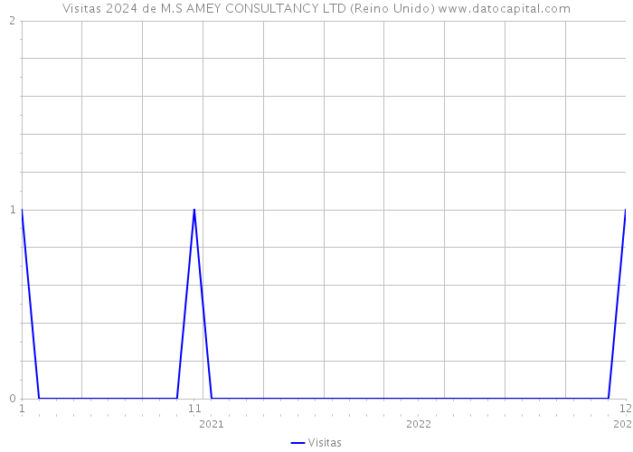 Visitas 2024 de M.S AMEY CONSULTANCY LTD (Reino Unido) 