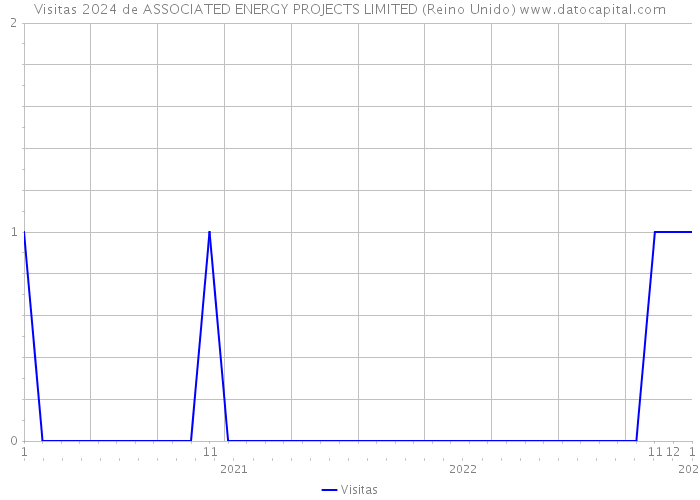 Visitas 2024 de ASSOCIATED ENERGY PROJECTS LIMITED (Reino Unido) 