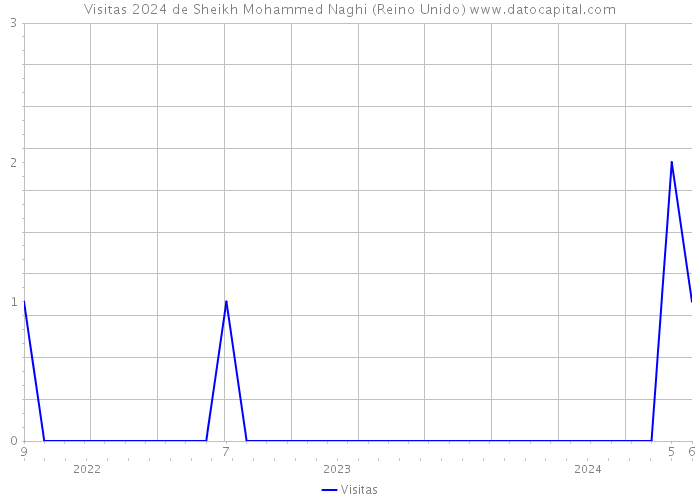 Visitas 2024 de Sheikh Mohammed Naghi (Reino Unido) 