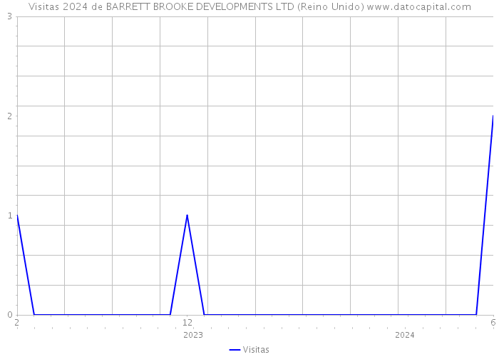 Visitas 2024 de BARRETT BROOKE DEVELOPMENTS LTD (Reino Unido) 