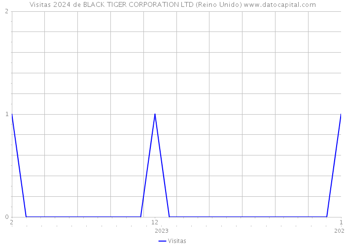 Visitas 2024 de BLACK TIGER CORPORATION LTD (Reino Unido) 
