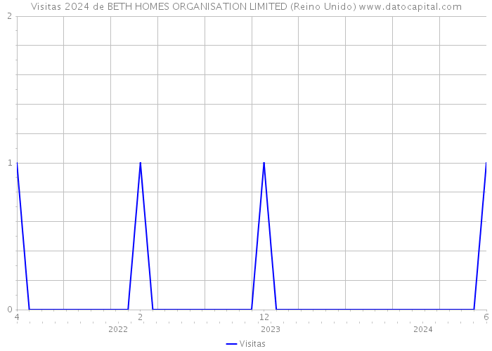 Visitas 2024 de BETH HOMES ORGANISATION LIMITED (Reino Unido) 