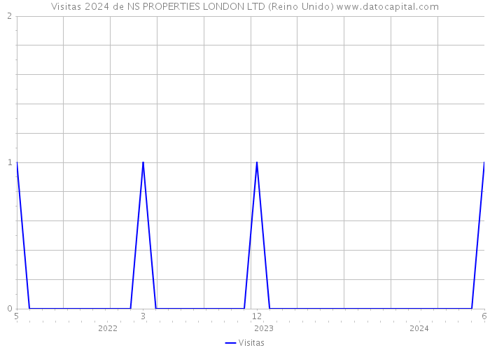 Visitas 2024 de NS PROPERTIES LONDON LTD (Reino Unido) 