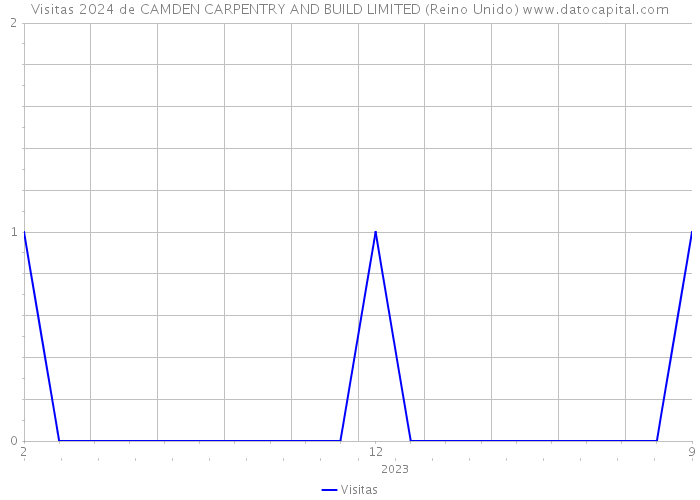 Visitas 2024 de CAMDEN CARPENTRY AND BUILD LIMITED (Reino Unido) 