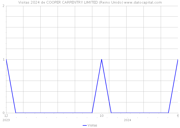 Visitas 2024 de COOPER CARPENTRY LIMITED (Reino Unido) 