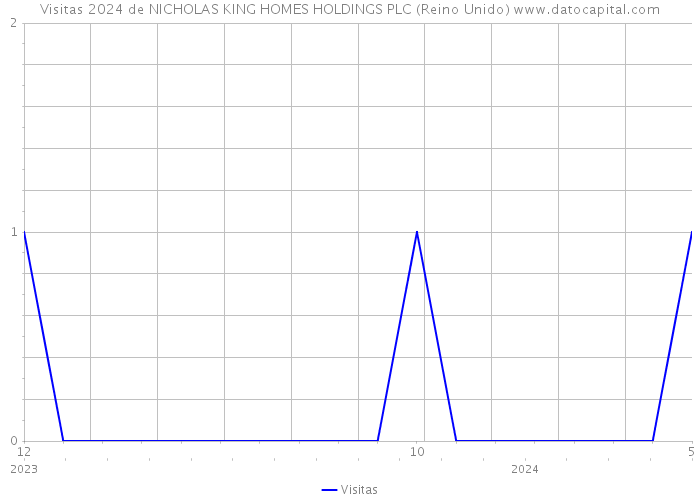 Visitas 2024 de NICHOLAS KING HOMES HOLDINGS PLC (Reino Unido) 