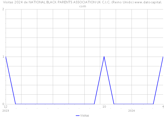 Visitas 2024 de NATIONAL BLACK PARENTS ASSOCIATION UK C.I.C. (Reino Unido) 