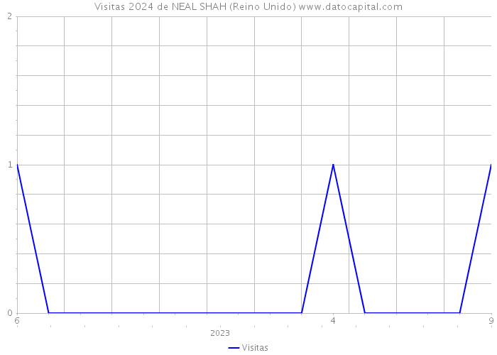 Visitas 2024 de NEAL SHAH (Reino Unido) 