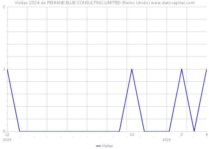 Visitas 2024 de PENNINE BLUE CONSULTING LIMITED (Reino Unido) 