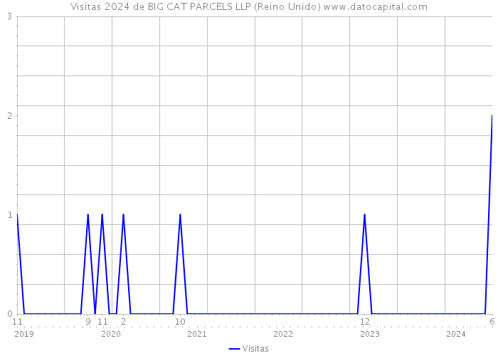 Visitas 2024 de BIG CAT PARCELS LLP (Reino Unido) 