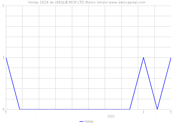 Visitas 2024 de UNIQUE MCR LTD (Reino Unido) 