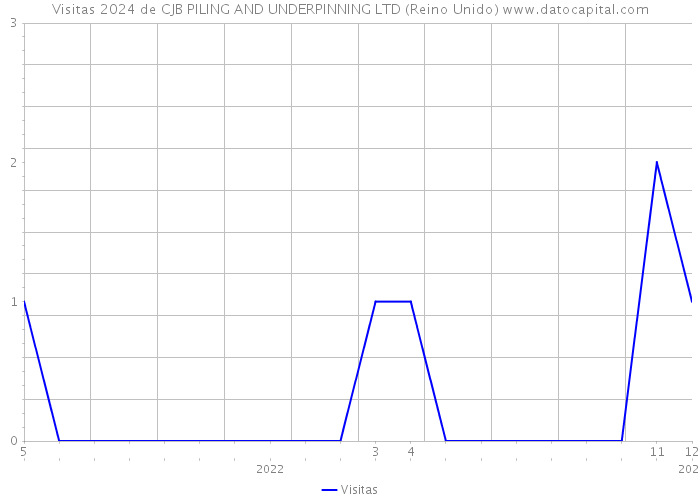 Visitas 2024 de CJB PILING AND UNDERPINNING LTD (Reino Unido) 