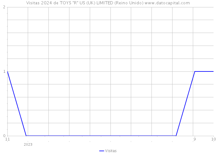 Visitas 2024 de TOYS 