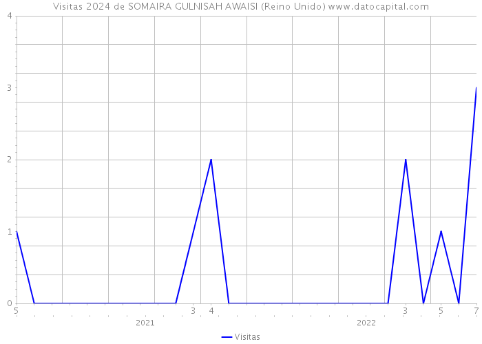 Visitas 2024 de SOMAIRA GULNISAH AWAISI (Reino Unido) 