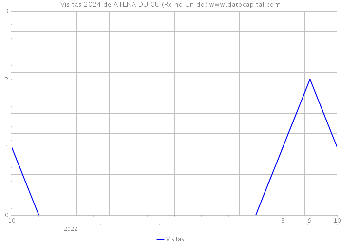 Visitas 2024 de ATENA DUICU (Reino Unido) 