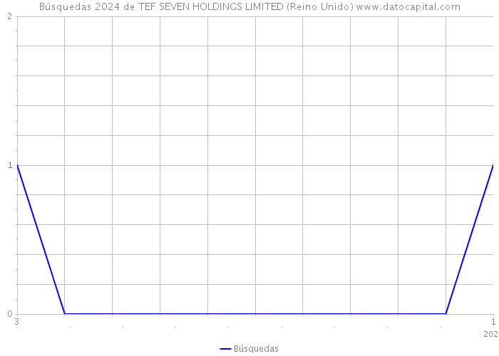 Búsquedas 2024 de TEF SEVEN HOLDINGS LIMITED (Reino Unido) 