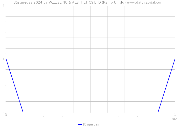 Búsquedas 2024 de WELLBEING & AESTHETICS LTD (Reino Unido) 