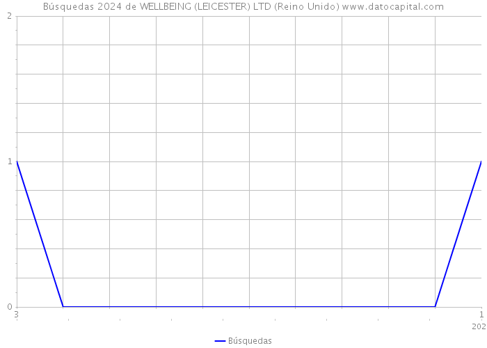 Búsquedas 2024 de WELLBEING (LEICESTER) LTD (Reino Unido) 