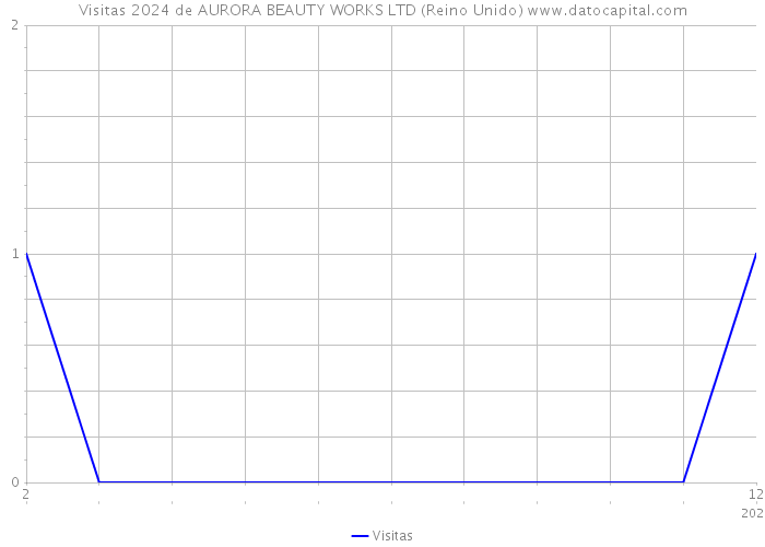 Visitas 2024 de AURORA BEAUTY WORKS LTD (Reino Unido) 