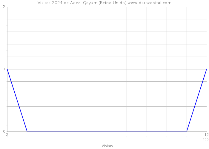 Visitas 2024 de Adeel Qayum (Reino Unido) 