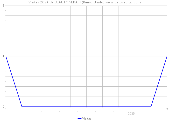 Visitas 2024 de BEAUTY NEKATI (Reino Unido) 