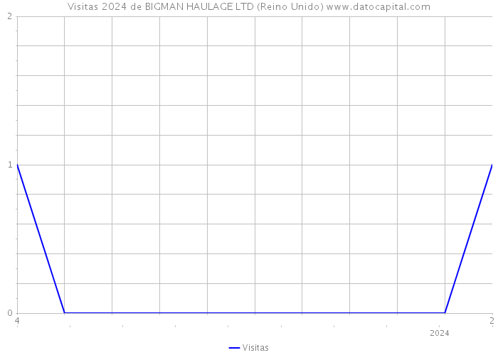 Visitas 2024 de BIGMAN HAULAGE LTD (Reino Unido) 