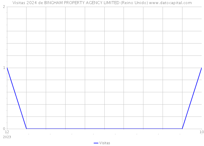 Visitas 2024 de BINGHAM PROPERTY AGENCY LIMITED (Reino Unido) 