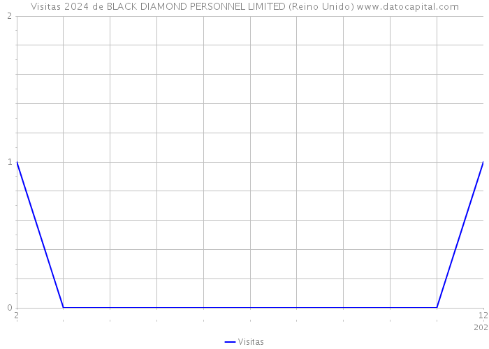 Visitas 2024 de BLACK DIAMOND PERSONNEL LIMITED (Reino Unido) 