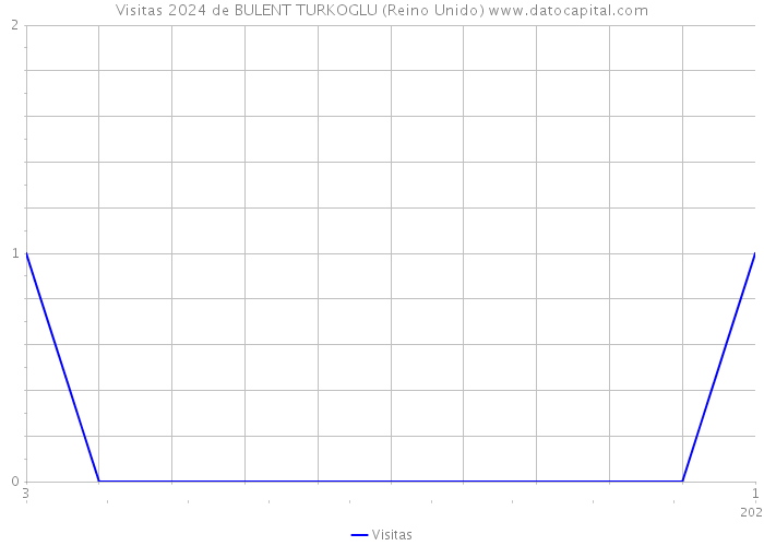 Visitas 2024 de BULENT TURKOGLU (Reino Unido) 