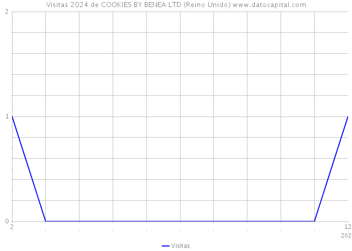 Visitas 2024 de COOKIES BY BENEA LTD (Reino Unido) 