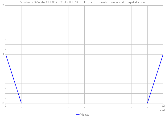 Visitas 2024 de CUDDY CONSULTING LTD (Reino Unido) 