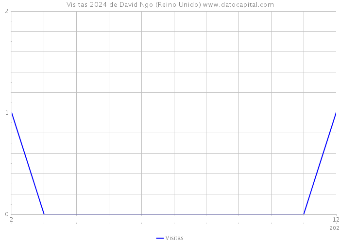 Visitas 2024 de David Ngo (Reino Unido) 
