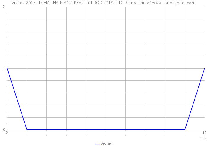 Visitas 2024 de FML HAIR AND BEAUTY PRODUCTS LTD (Reino Unido) 