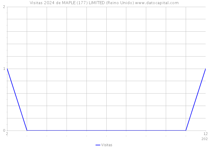 Visitas 2024 de MAPLE (177) LIMITED (Reino Unido) 