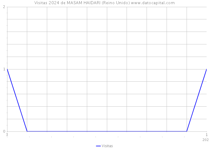 Visitas 2024 de MASAM HAIDARI (Reino Unido) 